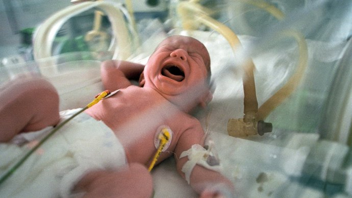 из открытых источников