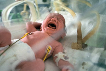 Фотография к новости: За младенческую смертность наказали четырёх главврачей в Костанайской области