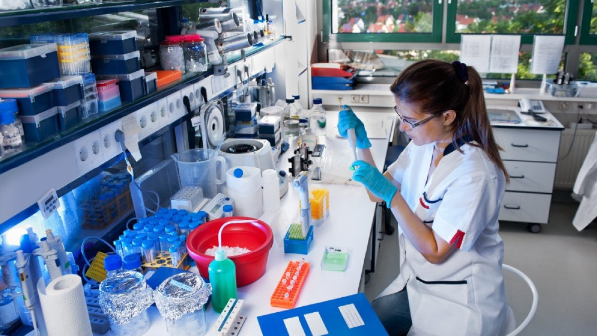 из открытых источников