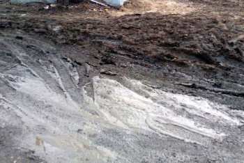 Почему люди должны страдать? - аким СКО поручил штрафовать виновных в непролазной грязи