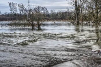 Фотография к новости: Формирование паводков ожидается на реках ВКО