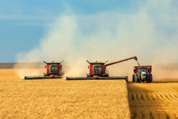 Фотография к новости: Южнокорейские бизнесмены готовы инвестировать в аграрный сектор РК