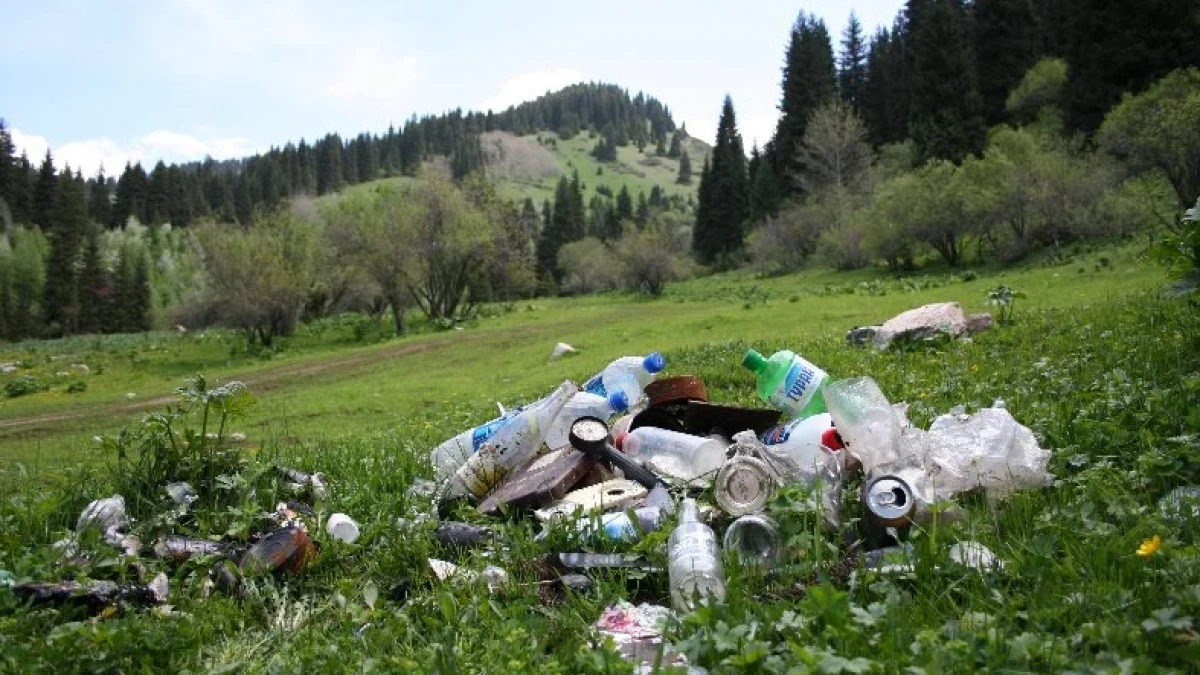 greensalvation.org