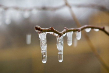 Фотография к новости: Гололёд на севере Казахстана прогнозируют синоптики 17 апреля
