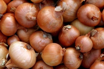 Фотография к новости: Из России в Казахстан вернули 20 тонн репчатого лука