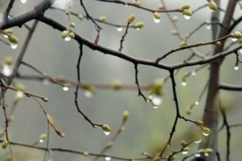 Фотография к новости: Штормовое предупреждение объявлено в трёх областях и Алматы