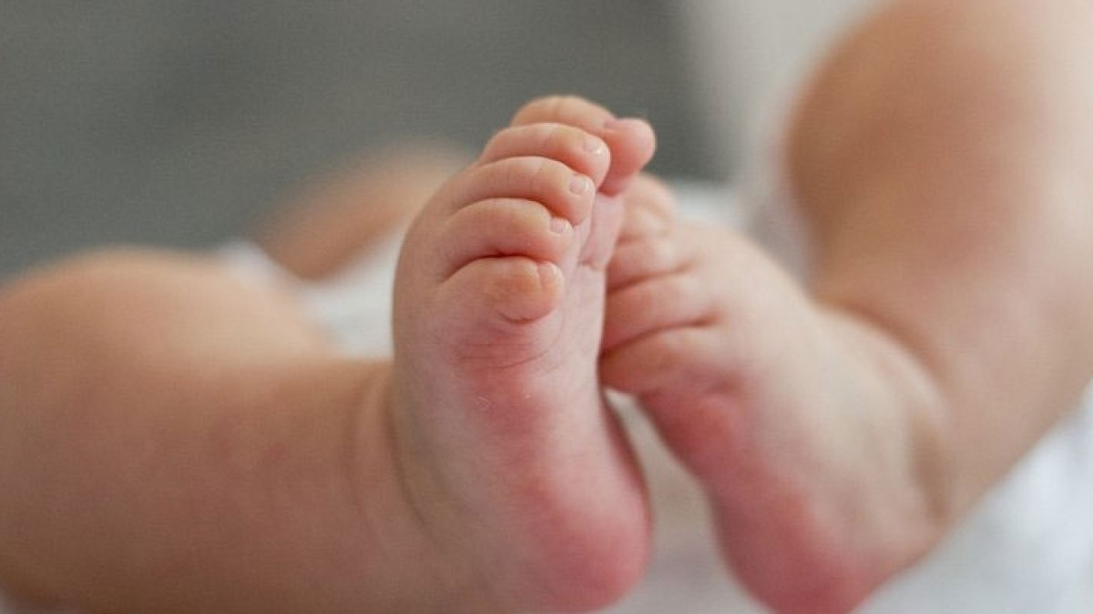 из открытых источников