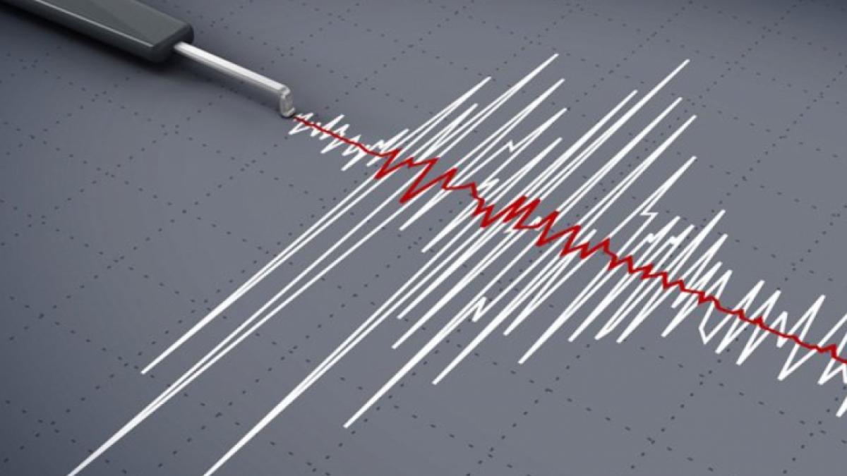 Из открытых источников 