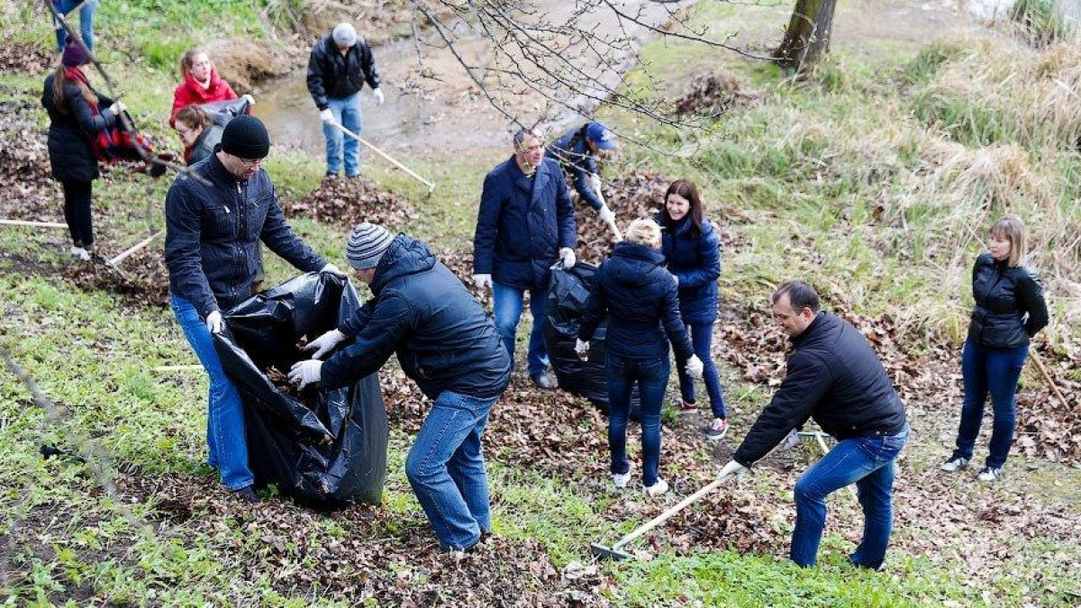 из открытых источников