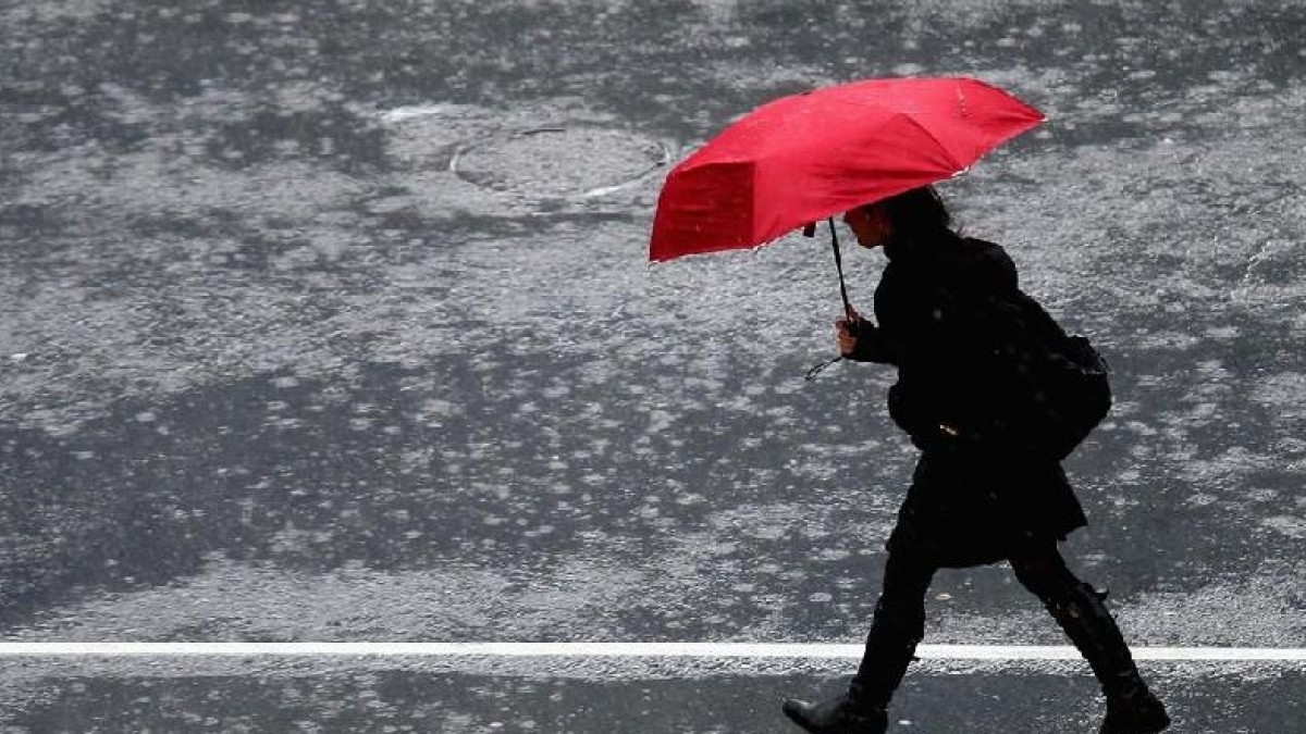 из открытых источников