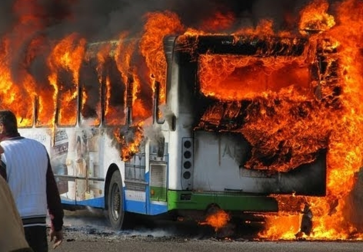 из открытых источников