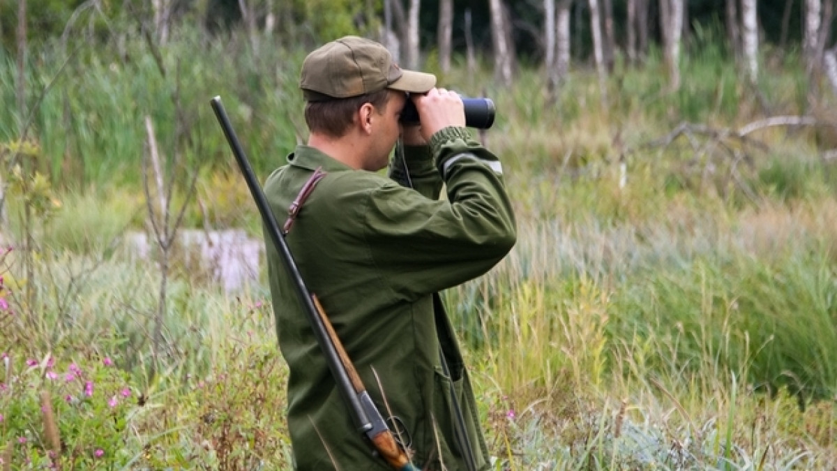 из открытых источников