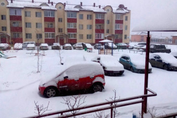 Фотография к новости: Снег выпал в Северном Казахстане
