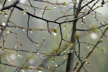 Фотография к новости: Осадки ожидаются по всему Казахстану в выходные 