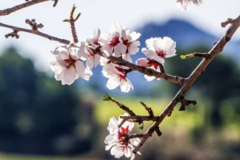 Фотография к новости: Потепление до 30 градусов прогнозируют на юге страны 