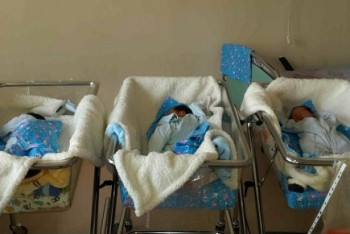 Фотография к новости: Новорождённых тройняшек выписали из роддома в Шымкенте