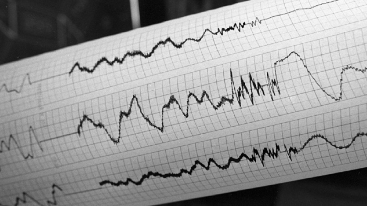 из открытых источников