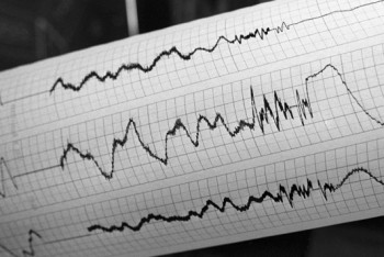 Фотография к новости: Землетрясение зарегистрировано в 115 км от Алматы   