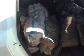 Фотография к новости: У браконьеров изъяли 200 кг осетровой рыбы в Мангистауской области