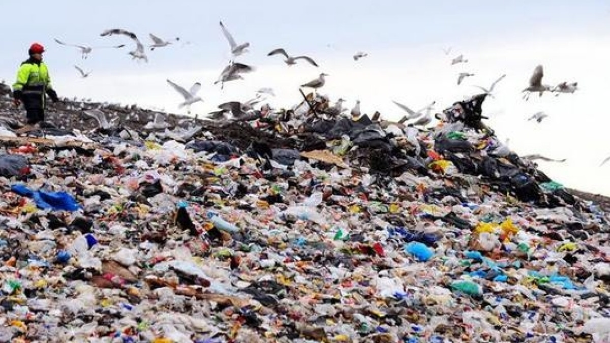 Из открытых источников 