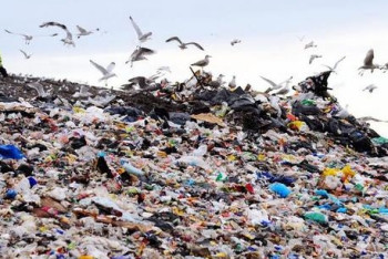 Фотография к новости: Свалку на территории известного алматинского ресторана обнаружили экологи 