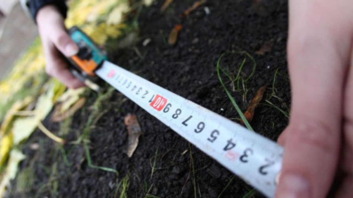 из открытых источников