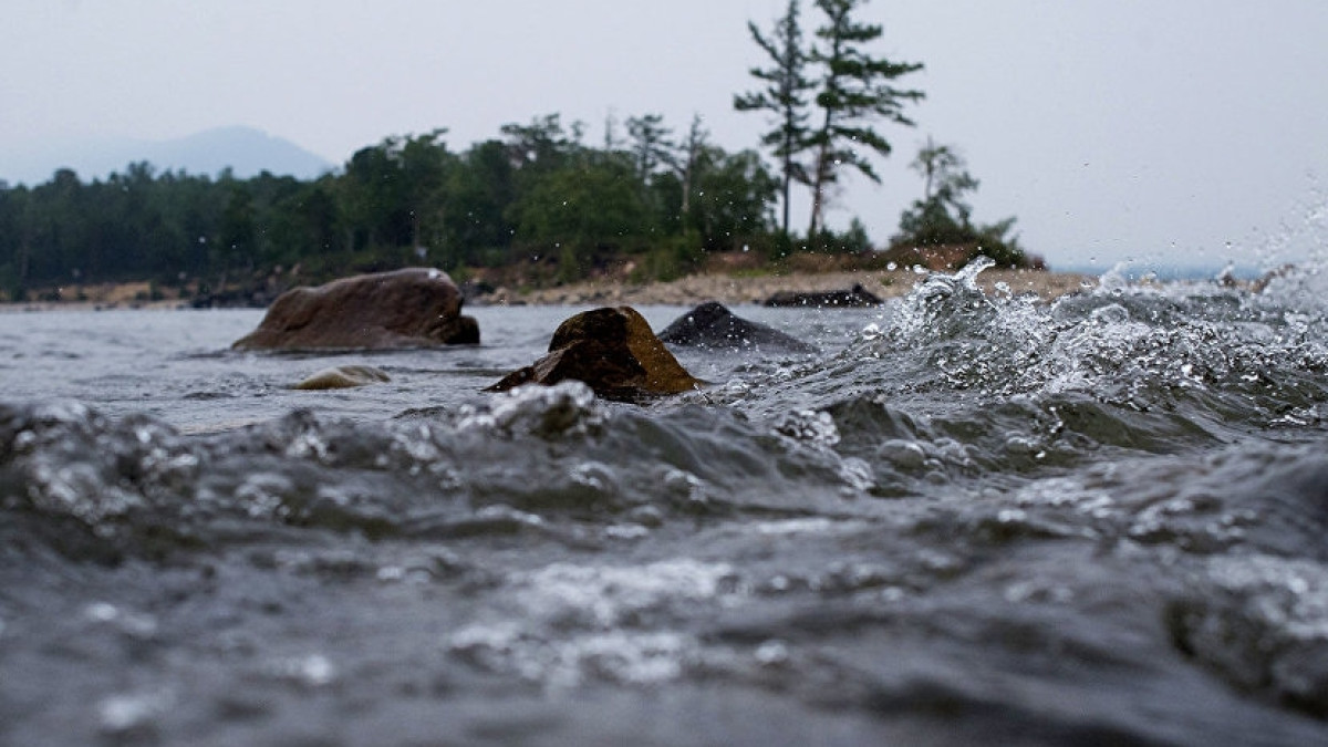 из открытых источников