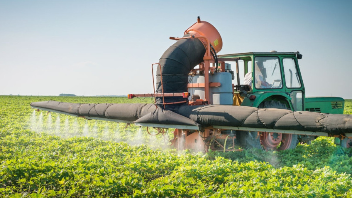 Из открытых источников 