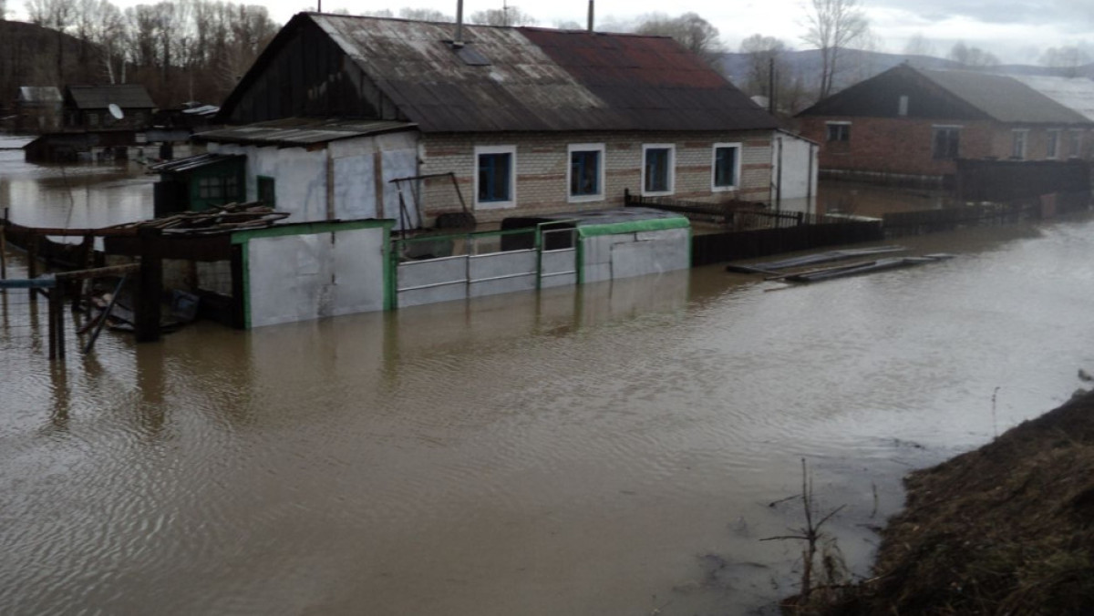 Из открытых источников 