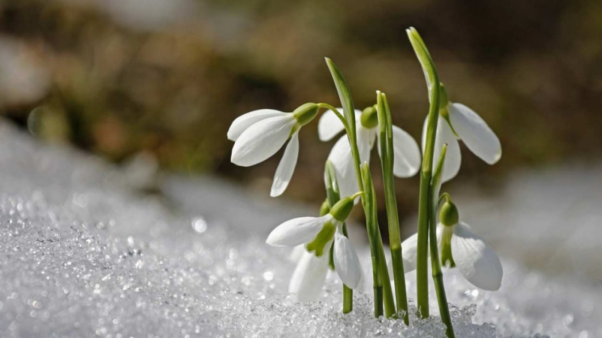 Из открытых источников 