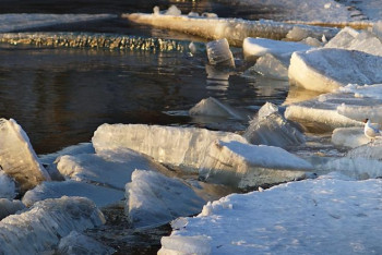 Аральского моря достиг ледосплав на Сырдарье