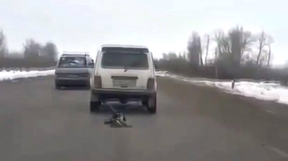 скриншот из видео