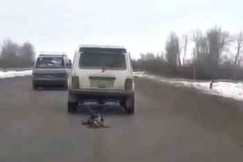 На водителя, протащившего на машине мёртвую собаку, завели дело в Акмолинской области