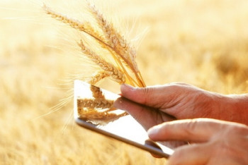 Фотография к новости: Аграрные смарт-планшеты предложили использовать учёные костанайским фермерам