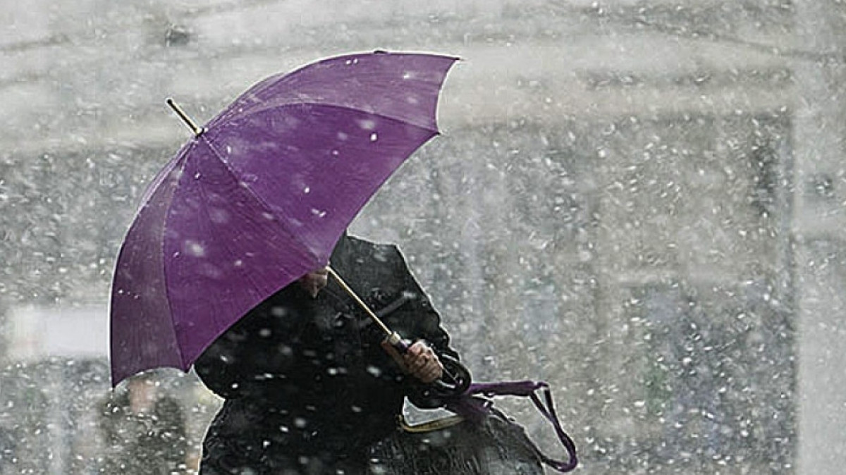 Из открытых источников