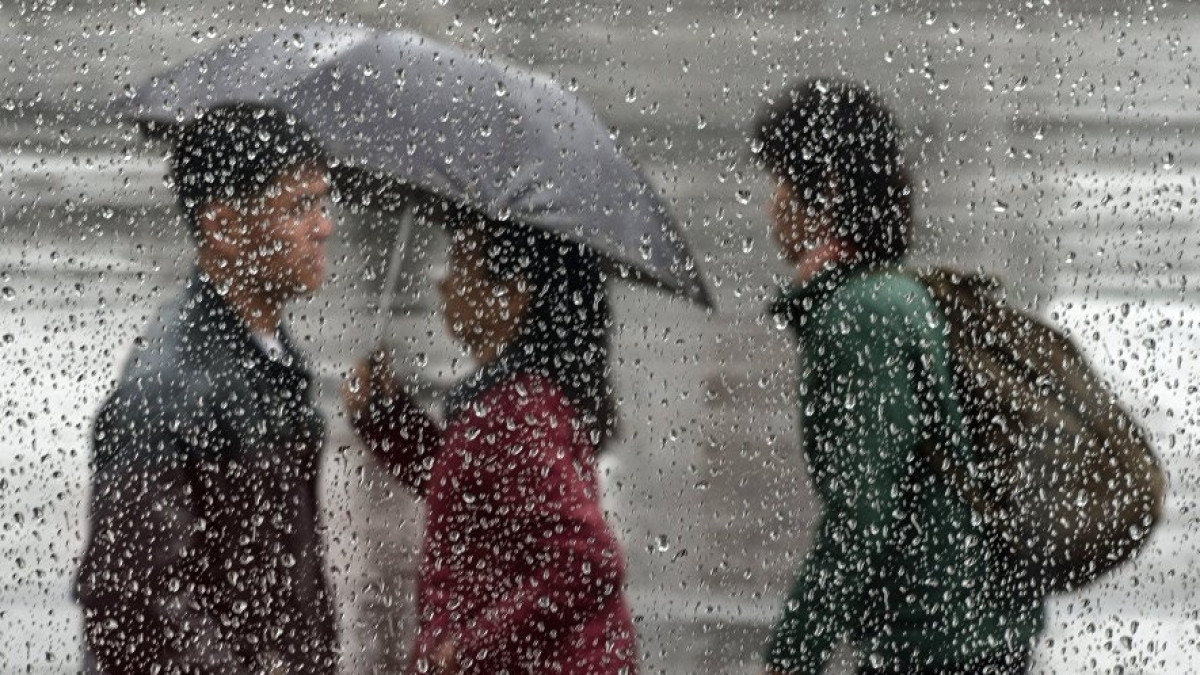 Из открытых источников