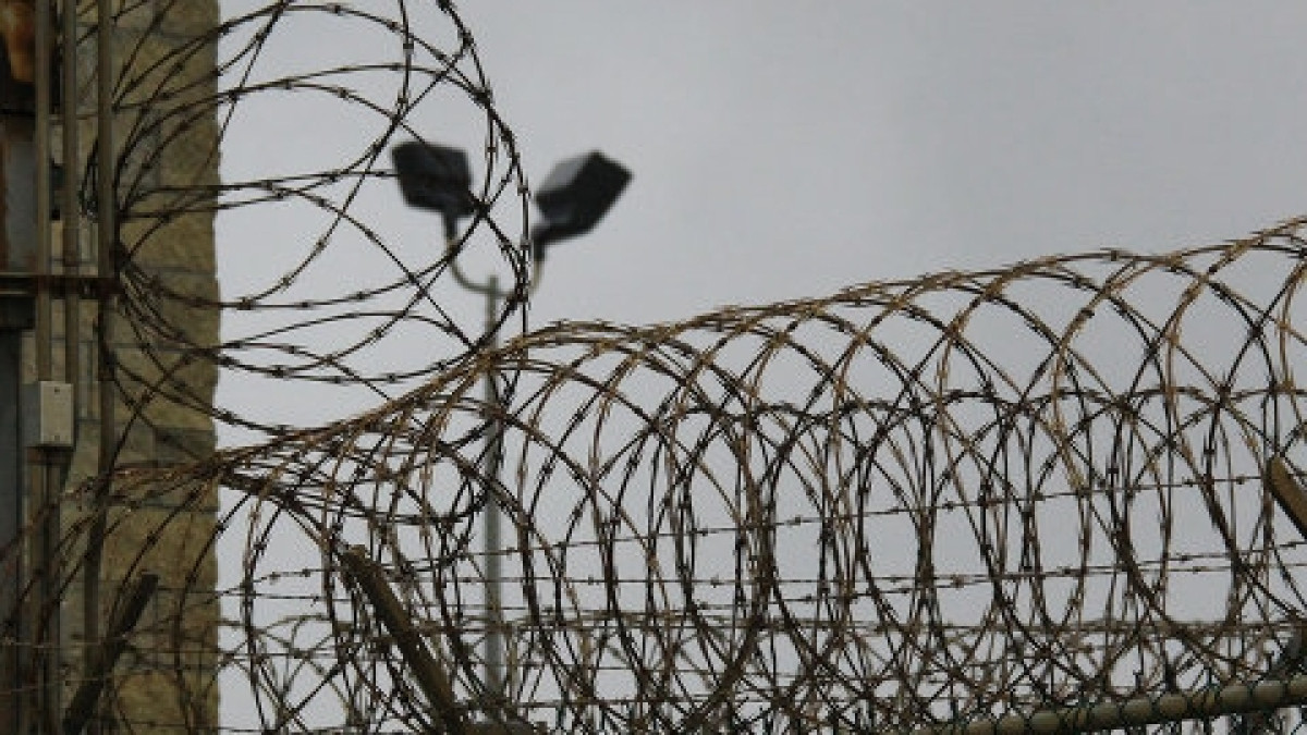 из открытых источников