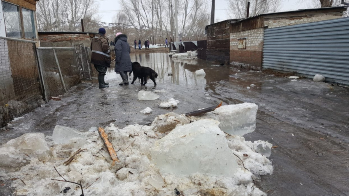 инфоцентр ВКО