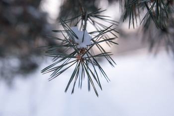 Фотография к новости: Осадки ожидаются на большей части Казахстана 29 марта