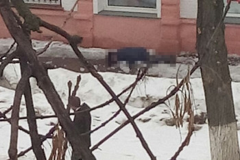 Фотография к новости: Начальник облздрава говорит неправду - очевидцы гибели уральского пенсионера