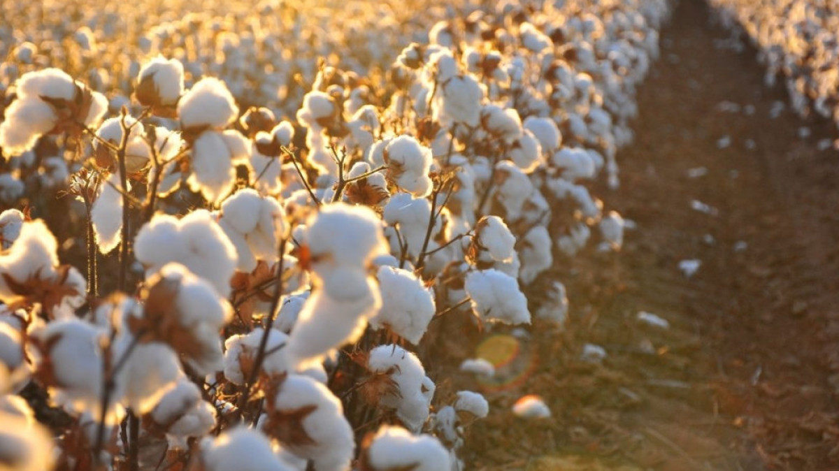 из открытых источников