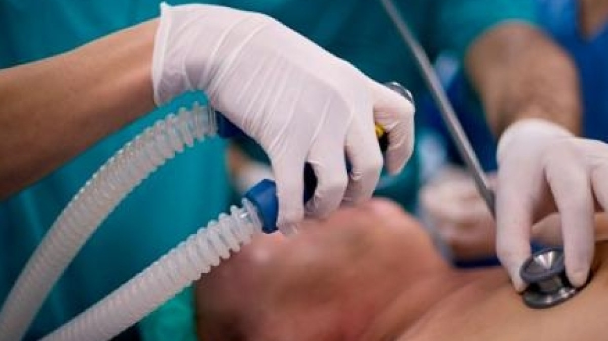 Иллюстративное фото 