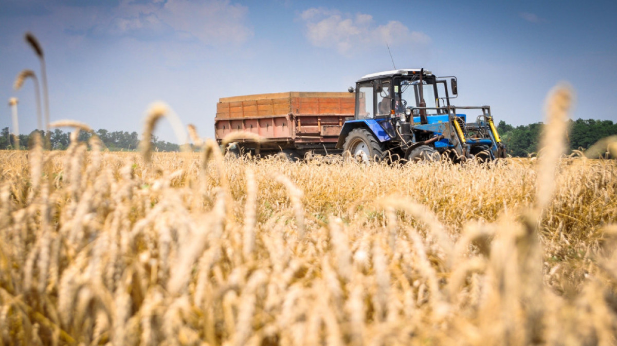 Из открытых источников