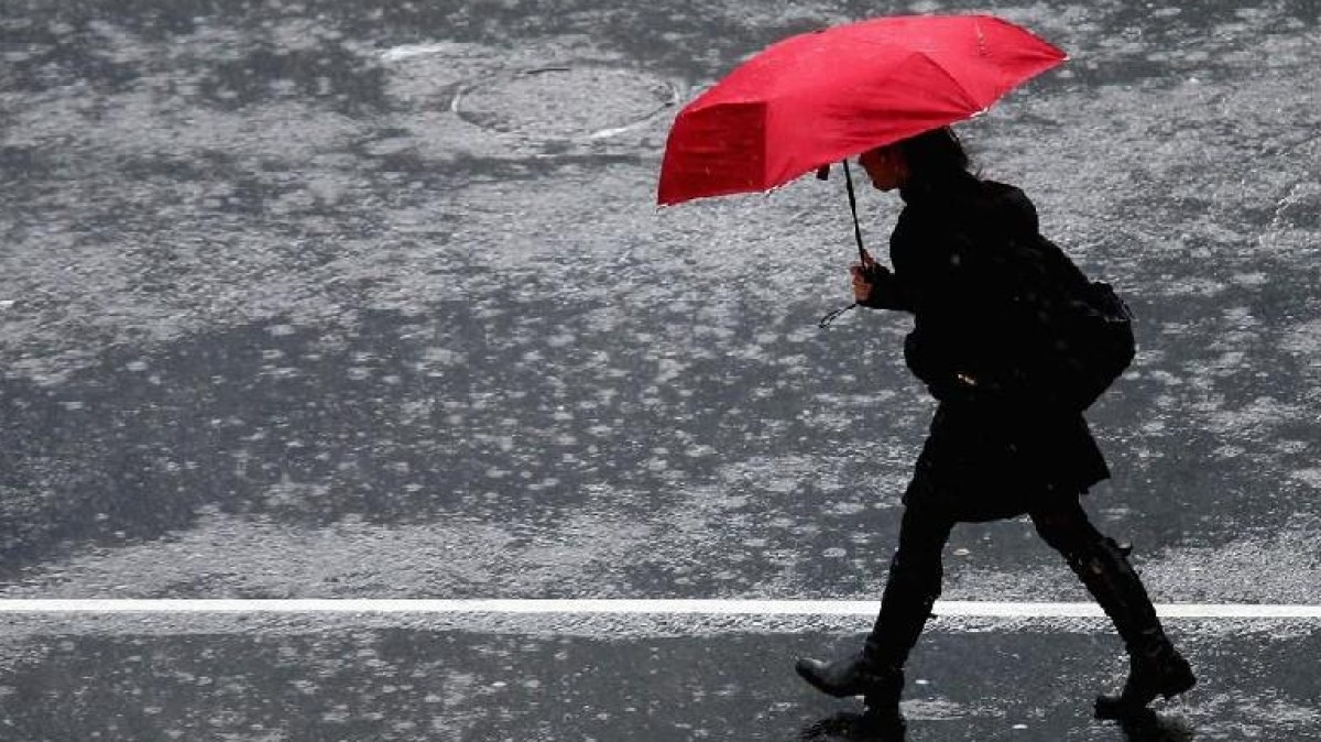 Из открытых источников