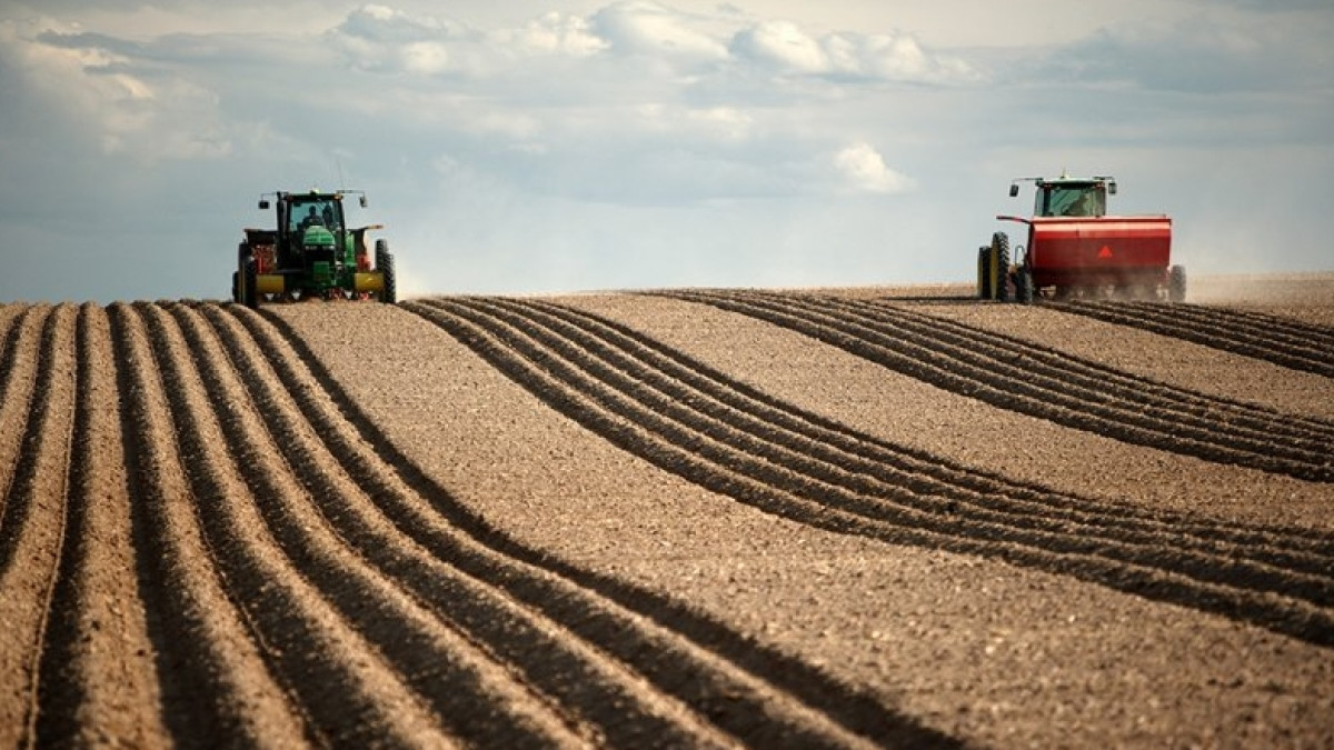 Из открытых источников