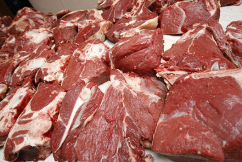 Фотография к новости: Слухи о продаже заражённого мяса опроверг главный ветеринар Усть-Каменогорска