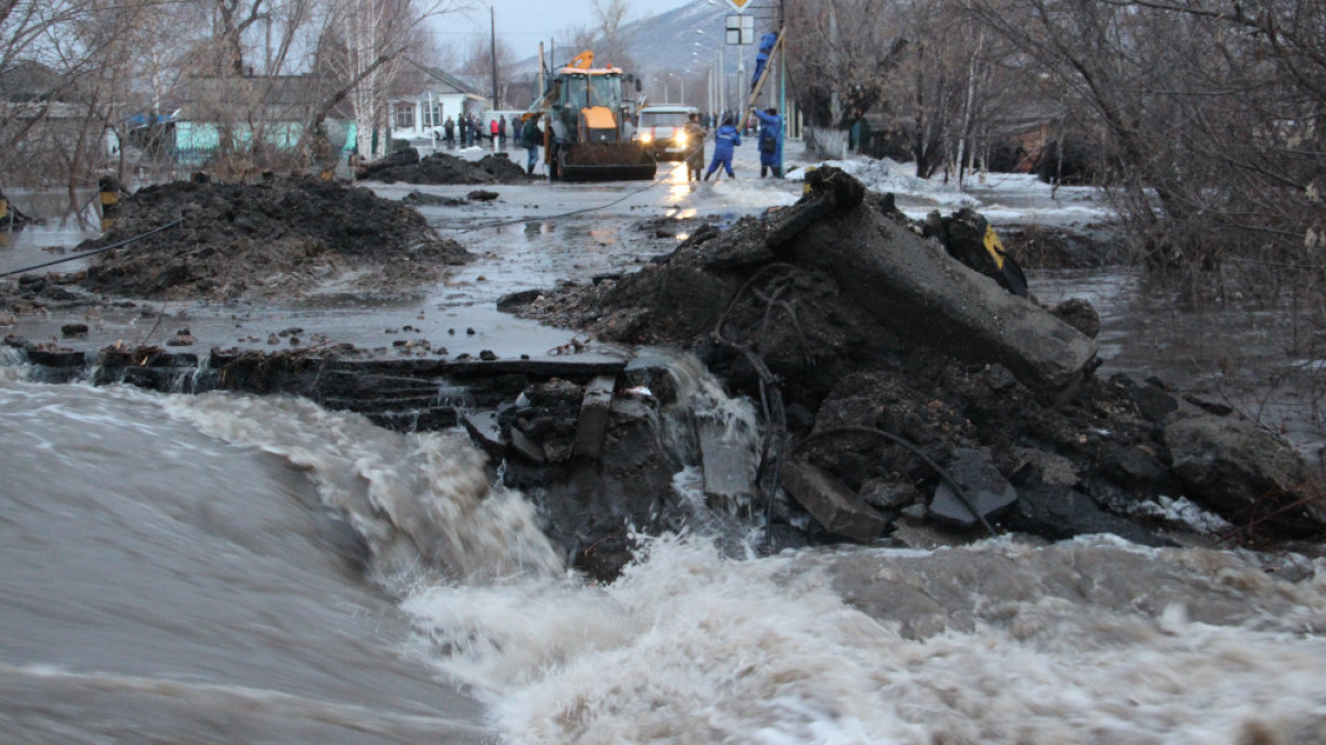 инфоцентр ВКО