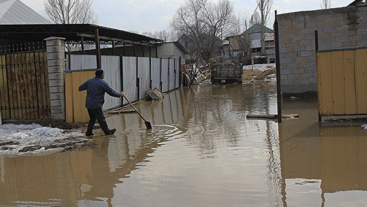 из открытых источников