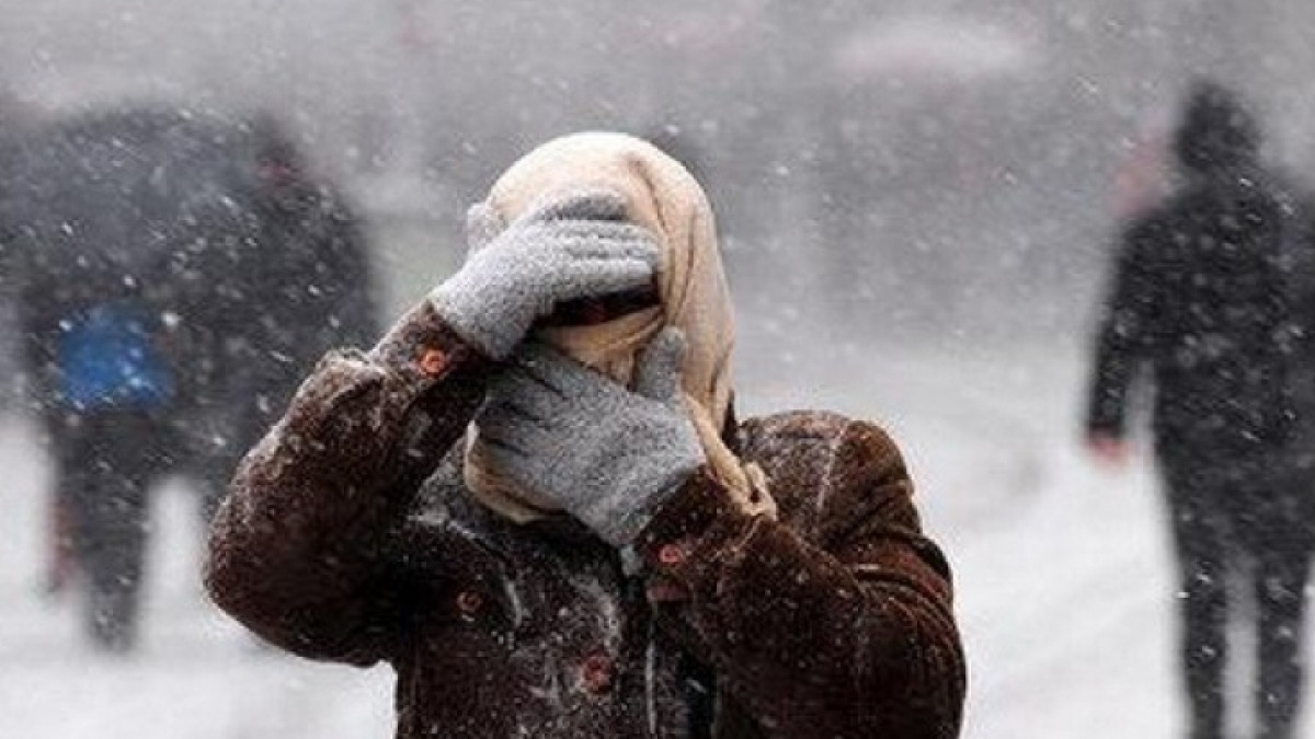 Из открытых источников