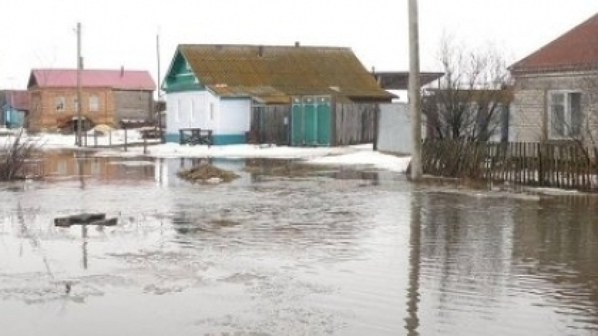 Из открытых источников